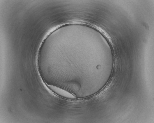 X0000115561429200912041044