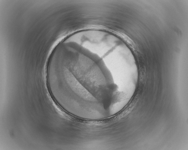 X0000115561430200912041044