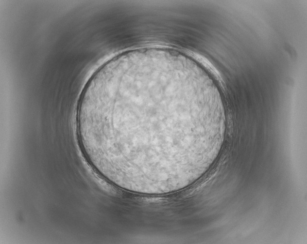 X0000115561431200912041044