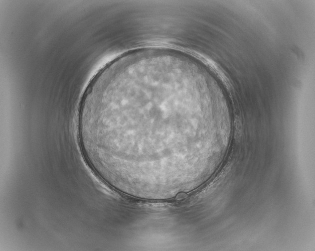 X0000115561432200912041044