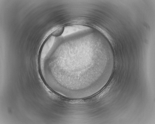 X0000115561434200912041044