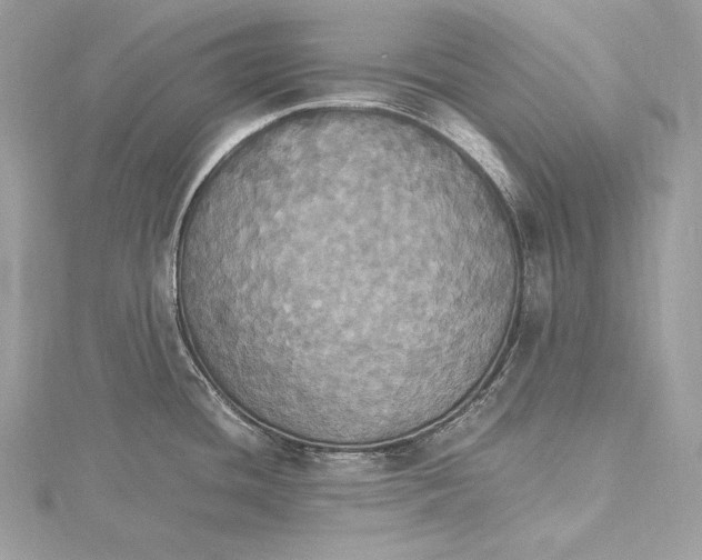 X0000115561436200912041044