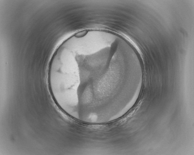 X0000115561437200912041044