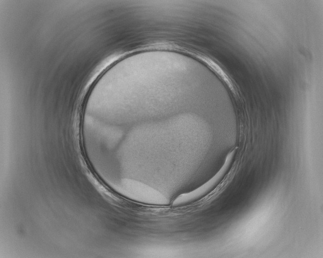 X0000115561438200912041044