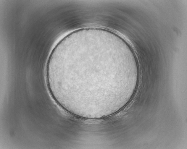 X0000115561440200912041044