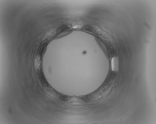 X0000115561443200912041043