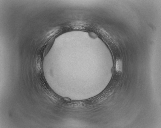 X0000115561444200912041043