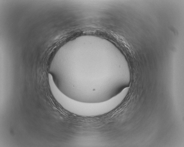 X0000115561445200912041043