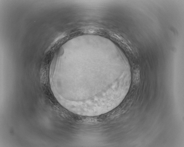 X0000115561446200912041043