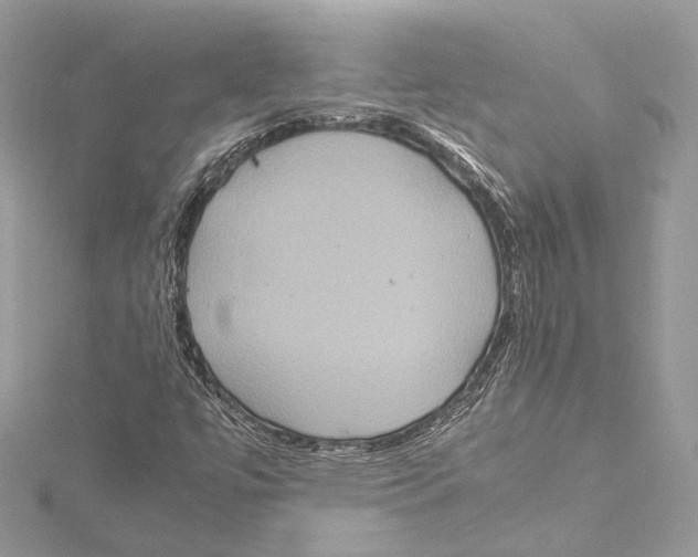 X0000115561447200912041043