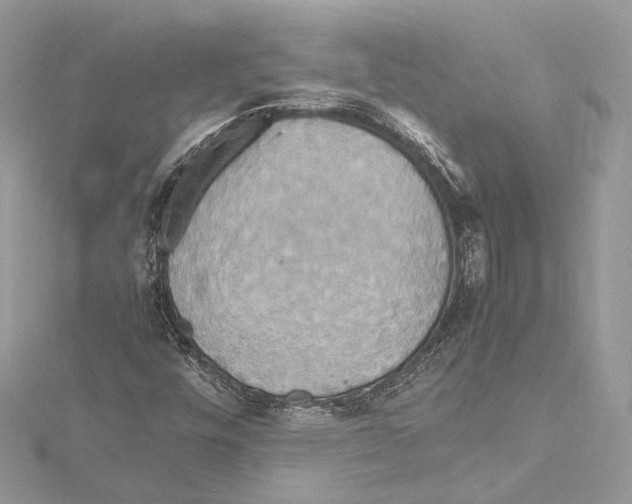 X0000115561448200912041043