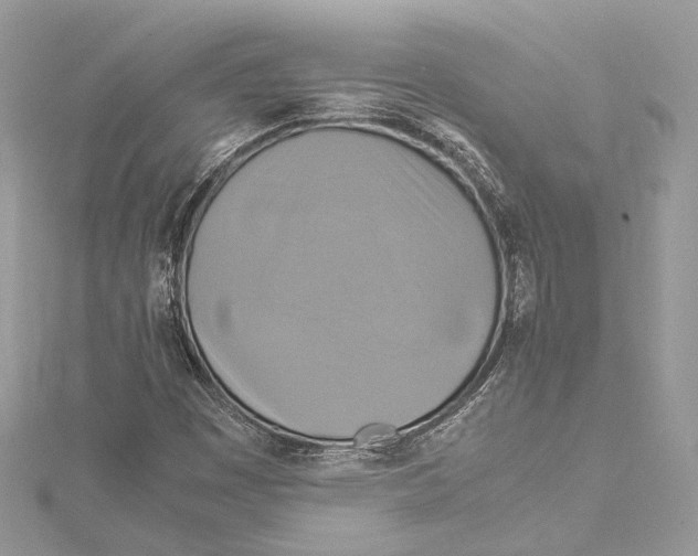 X0000115561449200912041043