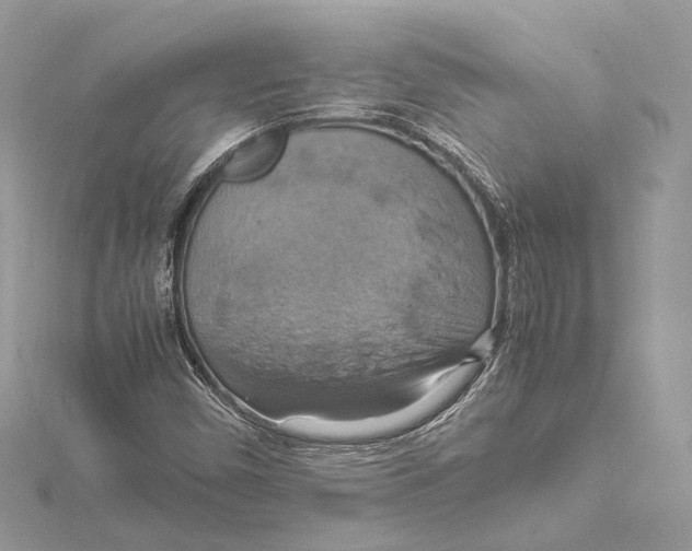 X0000115561450200912041043