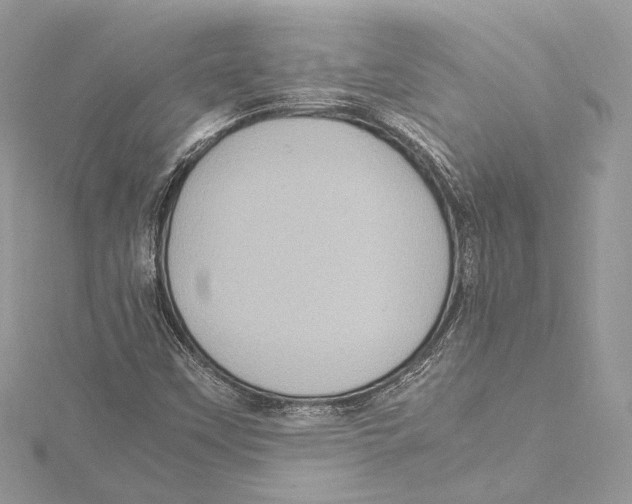 X0000115561451200912041043