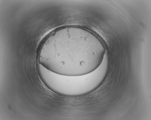 X0000115561452200912041043