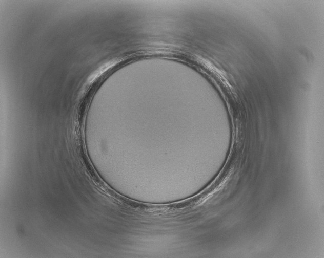 X0000115561453200912041043