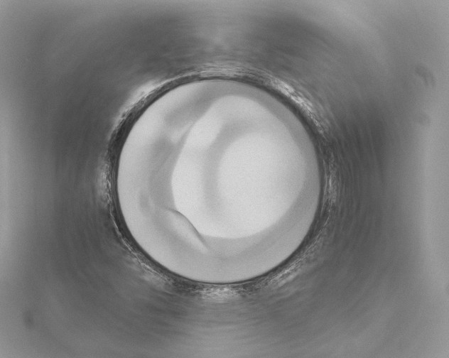 X0000115561454200912041043