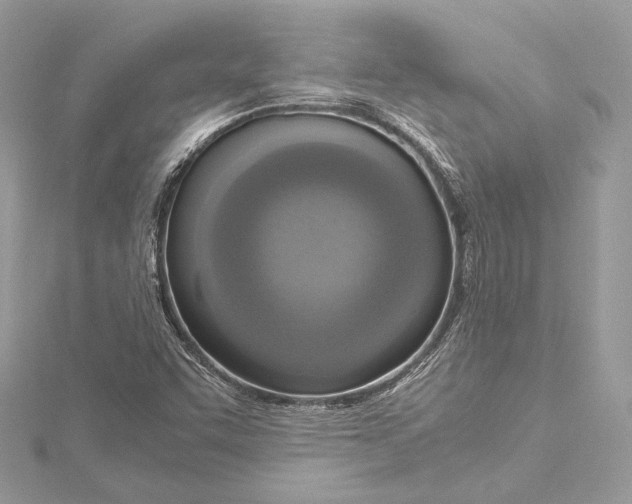 X0000115561455200912041043