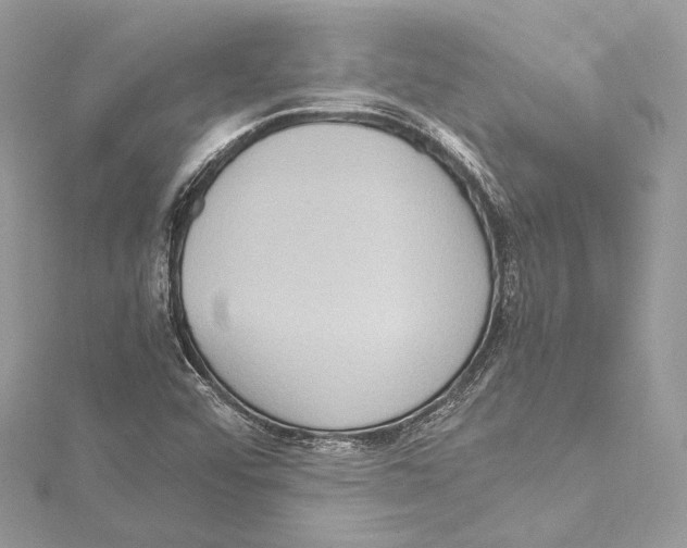 X0000115561456200912041043