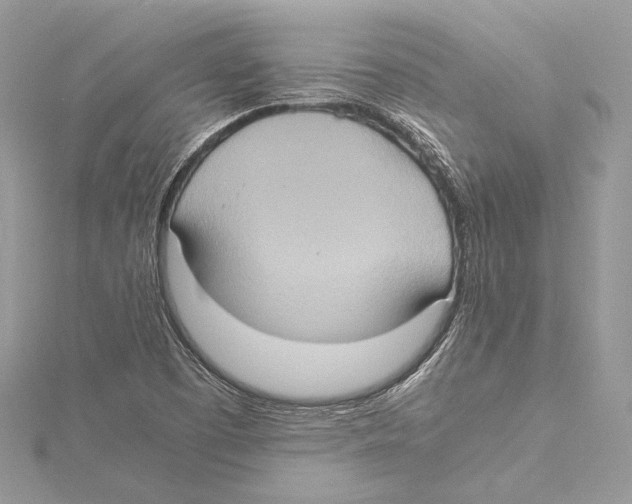 X0000115561457200912041043