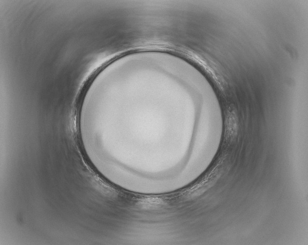 X0000115561462200912041043