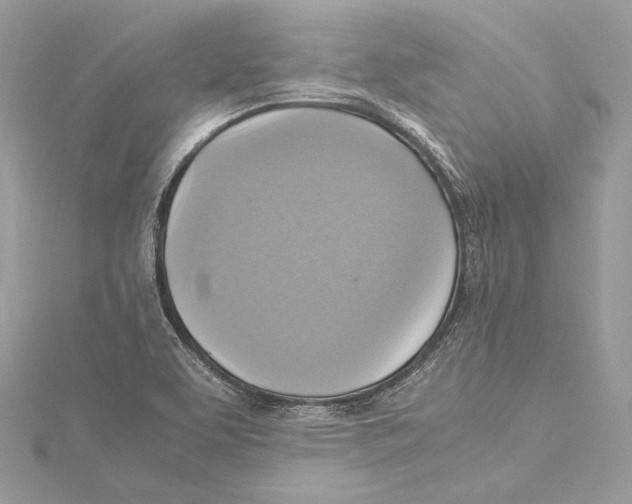 X0000115561463200912041043