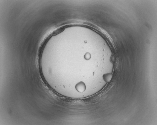 X0000115561464200912041043