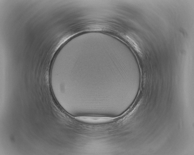 X0000115561465200912041043