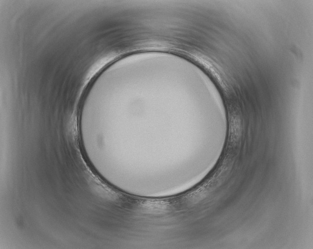 X0000115561466200912041043