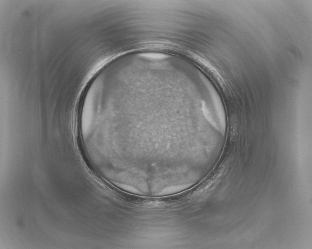 X0000115561467200912041043