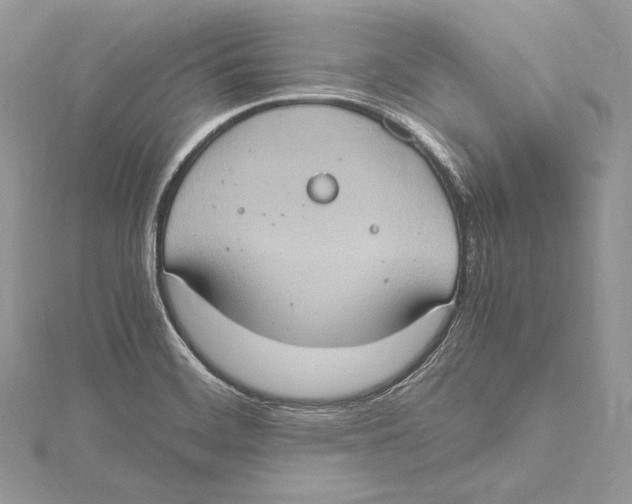 X0000115561468200912041043