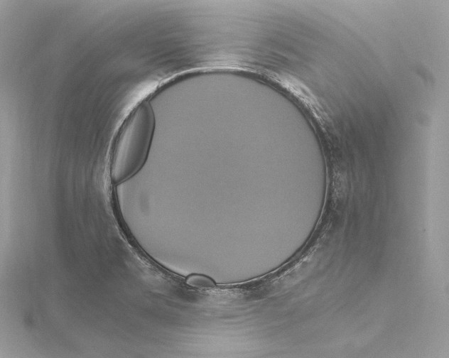 X0000115561469200912041043