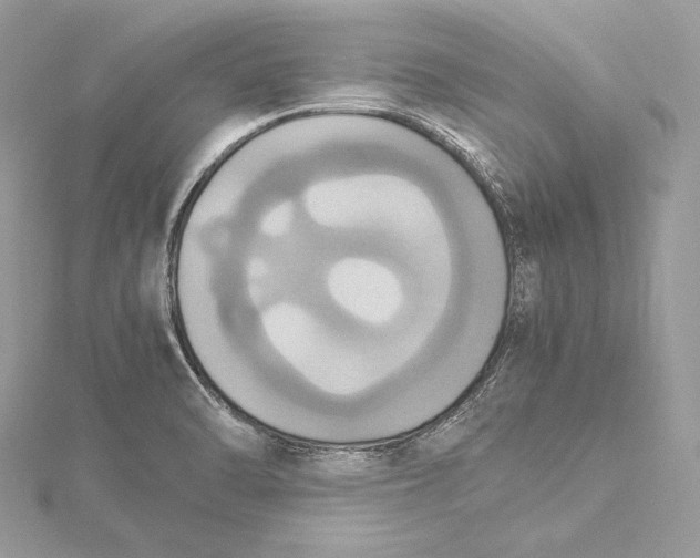 X0000115561470200912041042