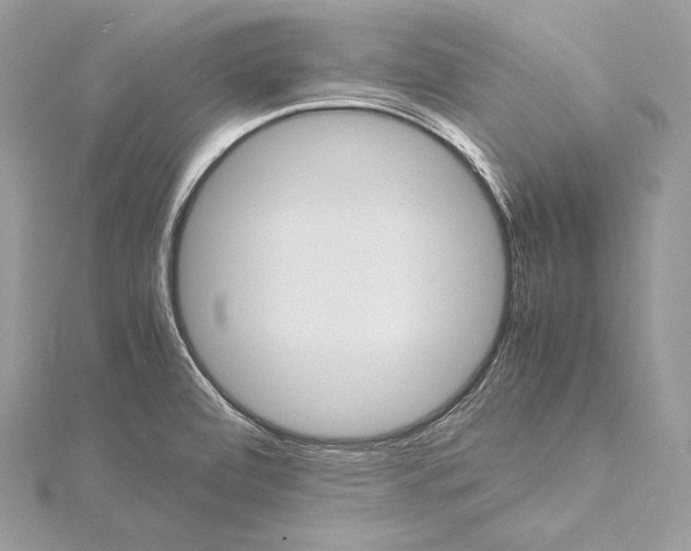 X0000115561472200912041042