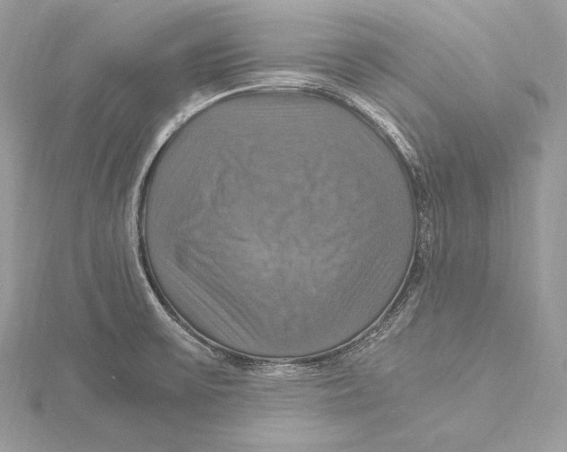 X0000115561475200912041042