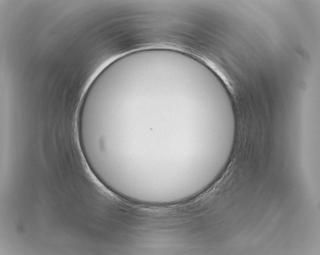 X0000115561476200912041042