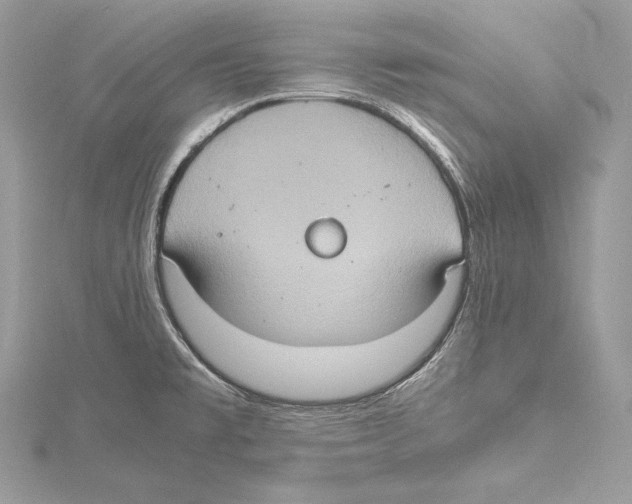 X0000115561477200912041042