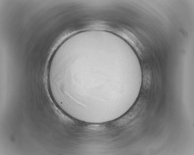 X0000115561478200912041042