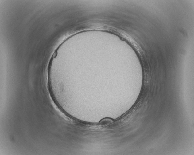 X0000115561479200912041042