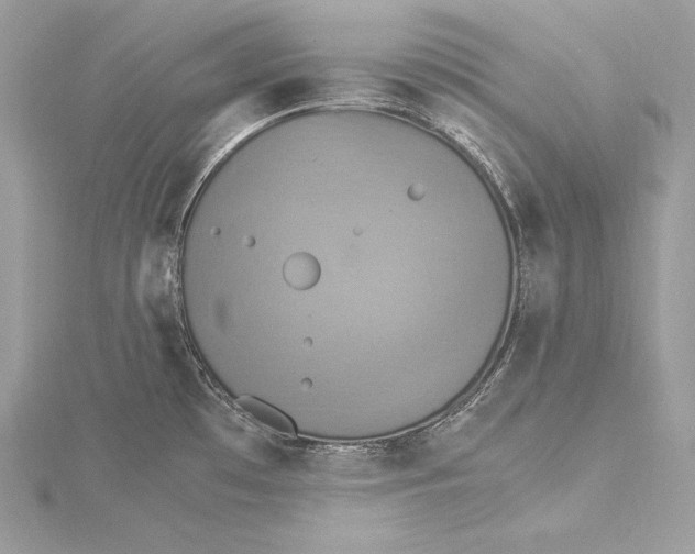 X0000115561481200912041042