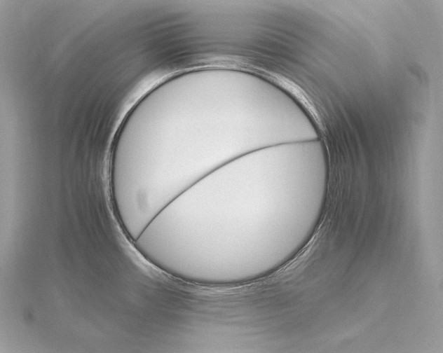 X0000115561482200912041042