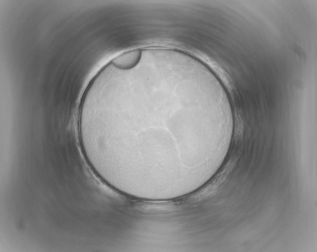 X0000115561486200912041042