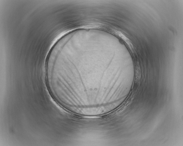 X0000115561487200912041042