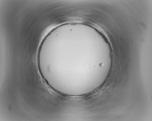 X0000115561488200912041042