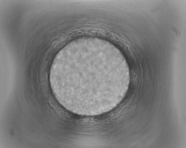 X0000115561489200912041042