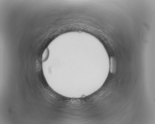 X0000115561491200912041042