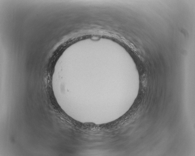 X0000115561495200912041042