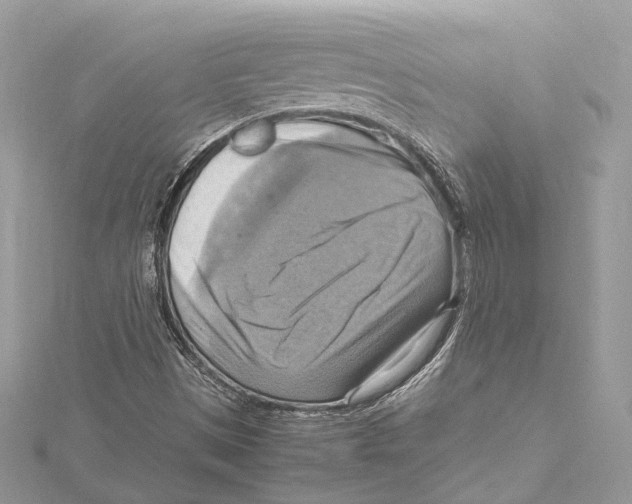 X0000115561497200912041042