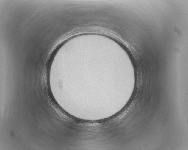 X0000115561498200912041042