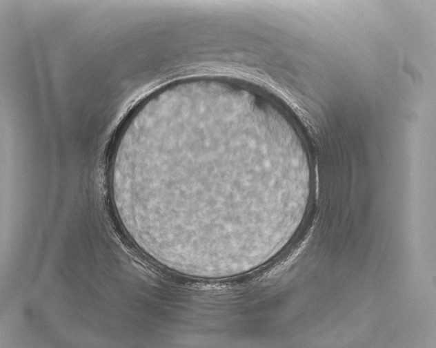 X0000115561501200912041042